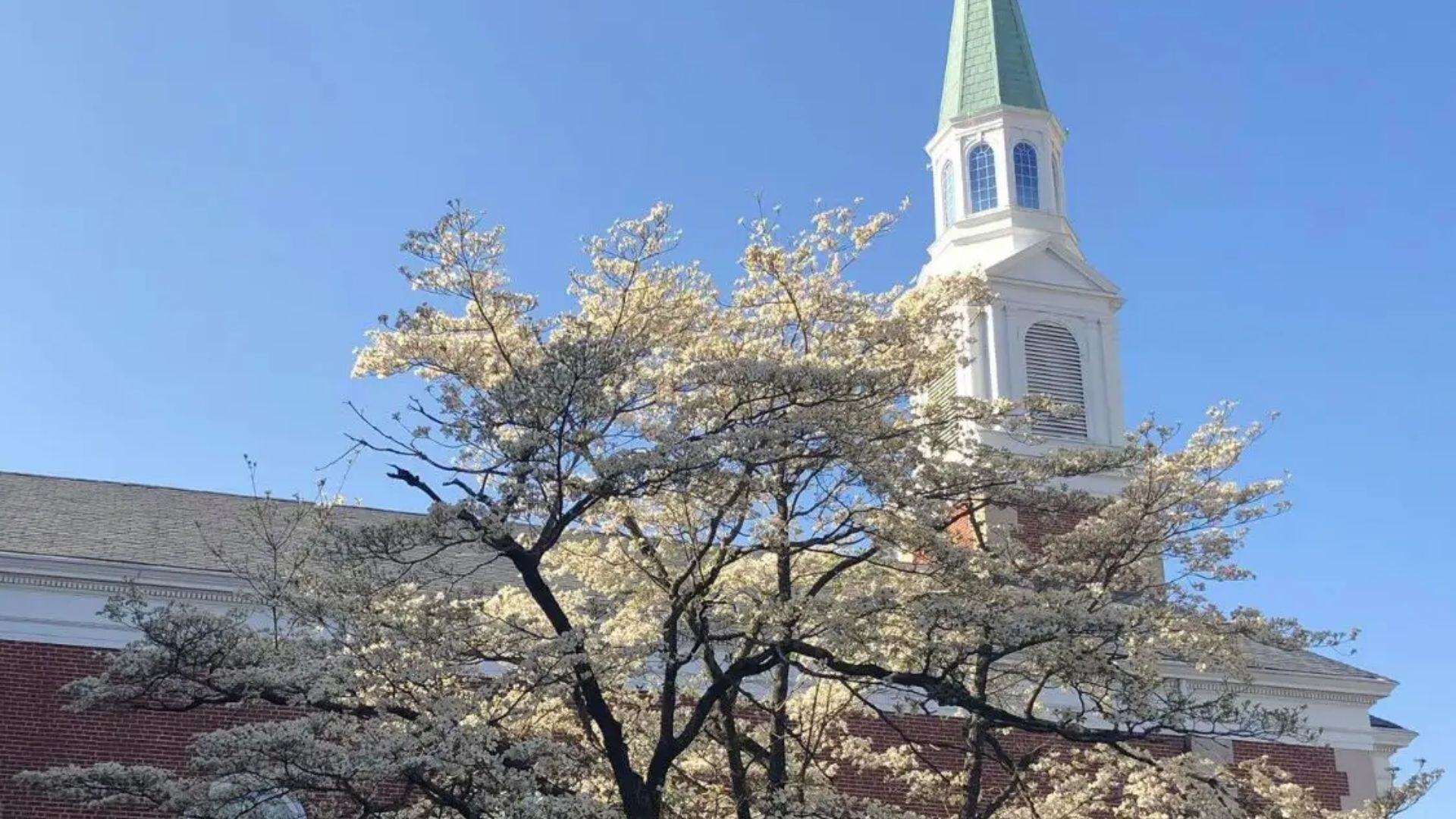 First Baptist High Point