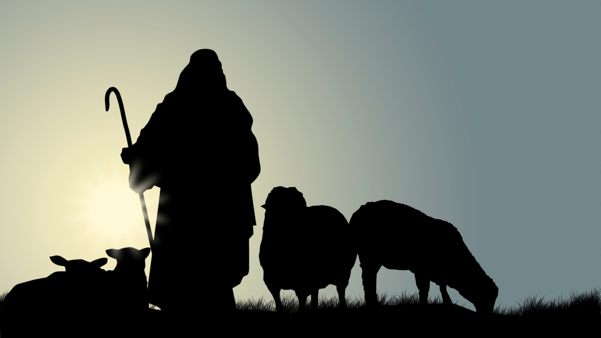 Shepherds, Christmas, Messiah, Jesus, Church Health