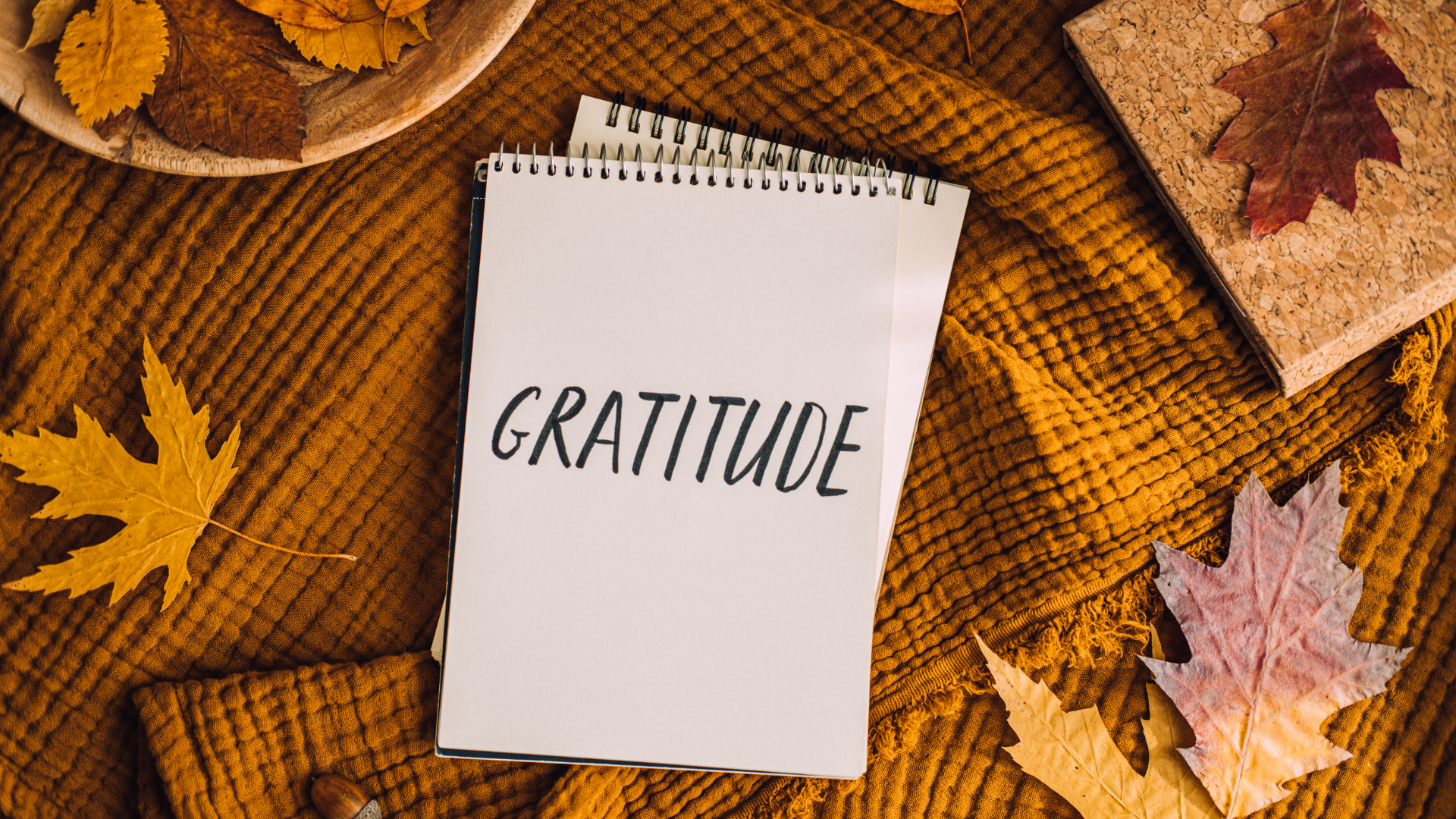 Gratitude, Burnout, Thankfulness, Joy