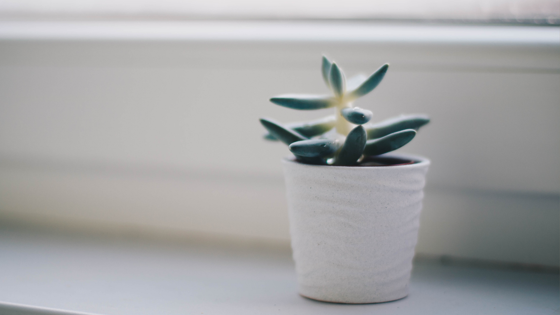 Growth