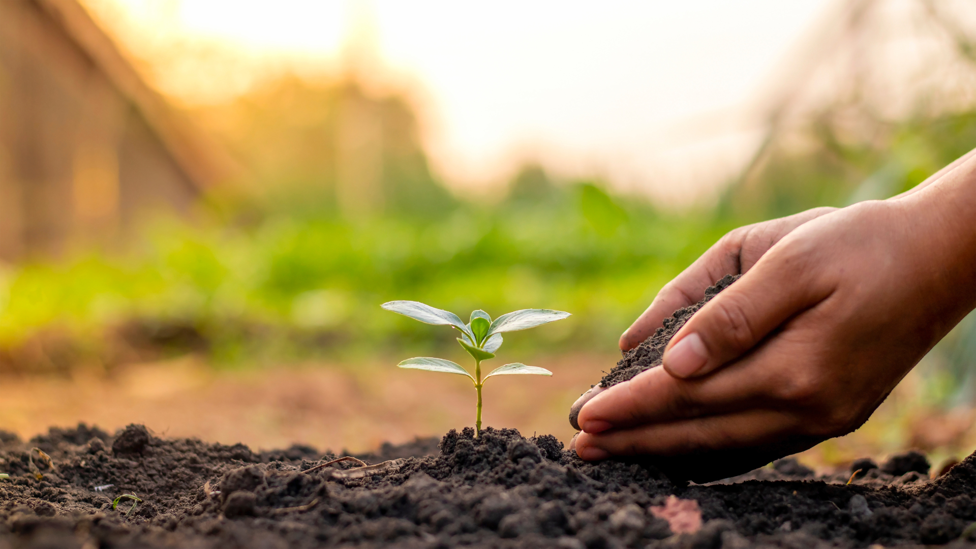 How Ministry Leadership Is More Like Farming than Fishing