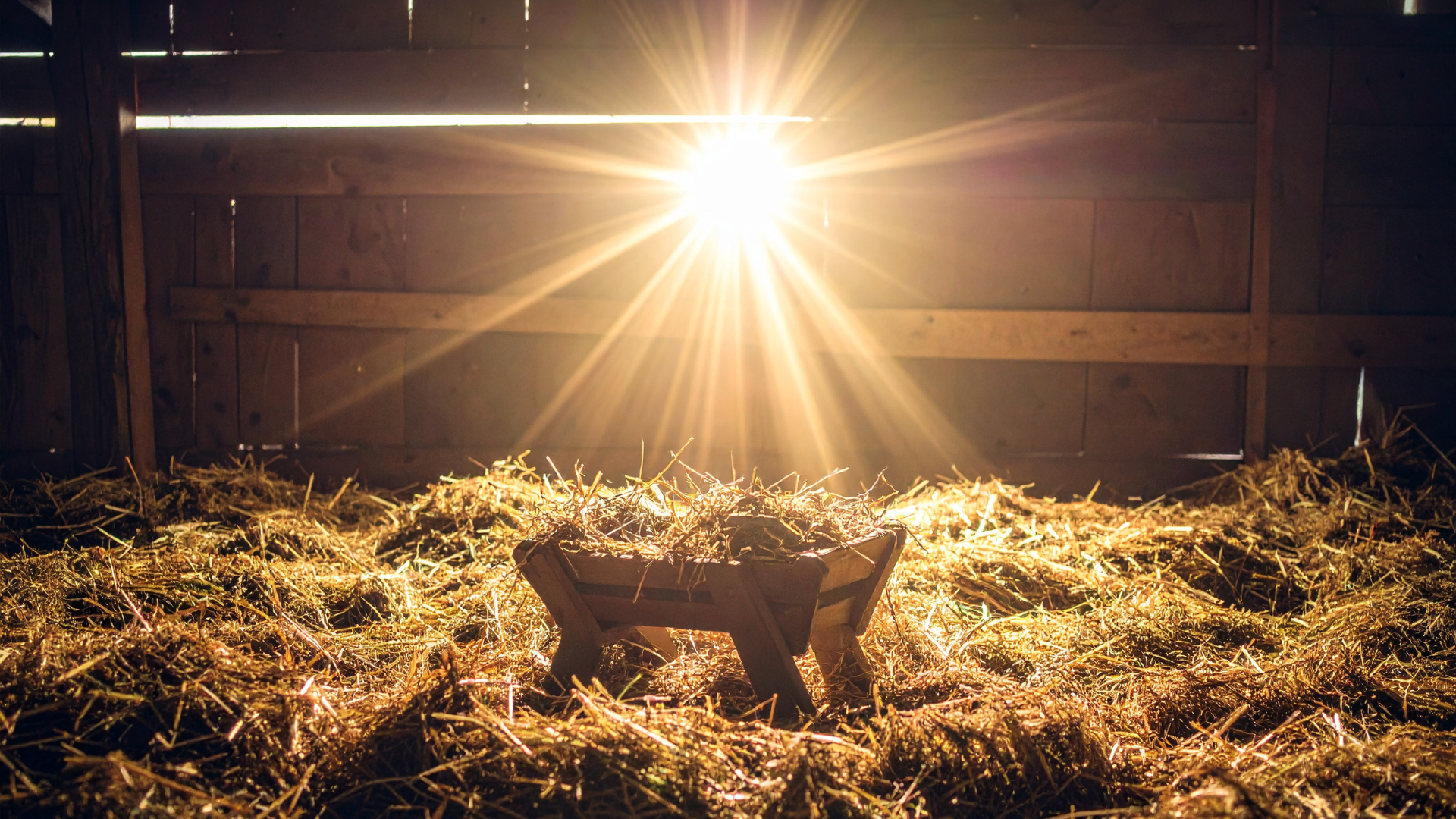 When Love Becomes Flesh and Future