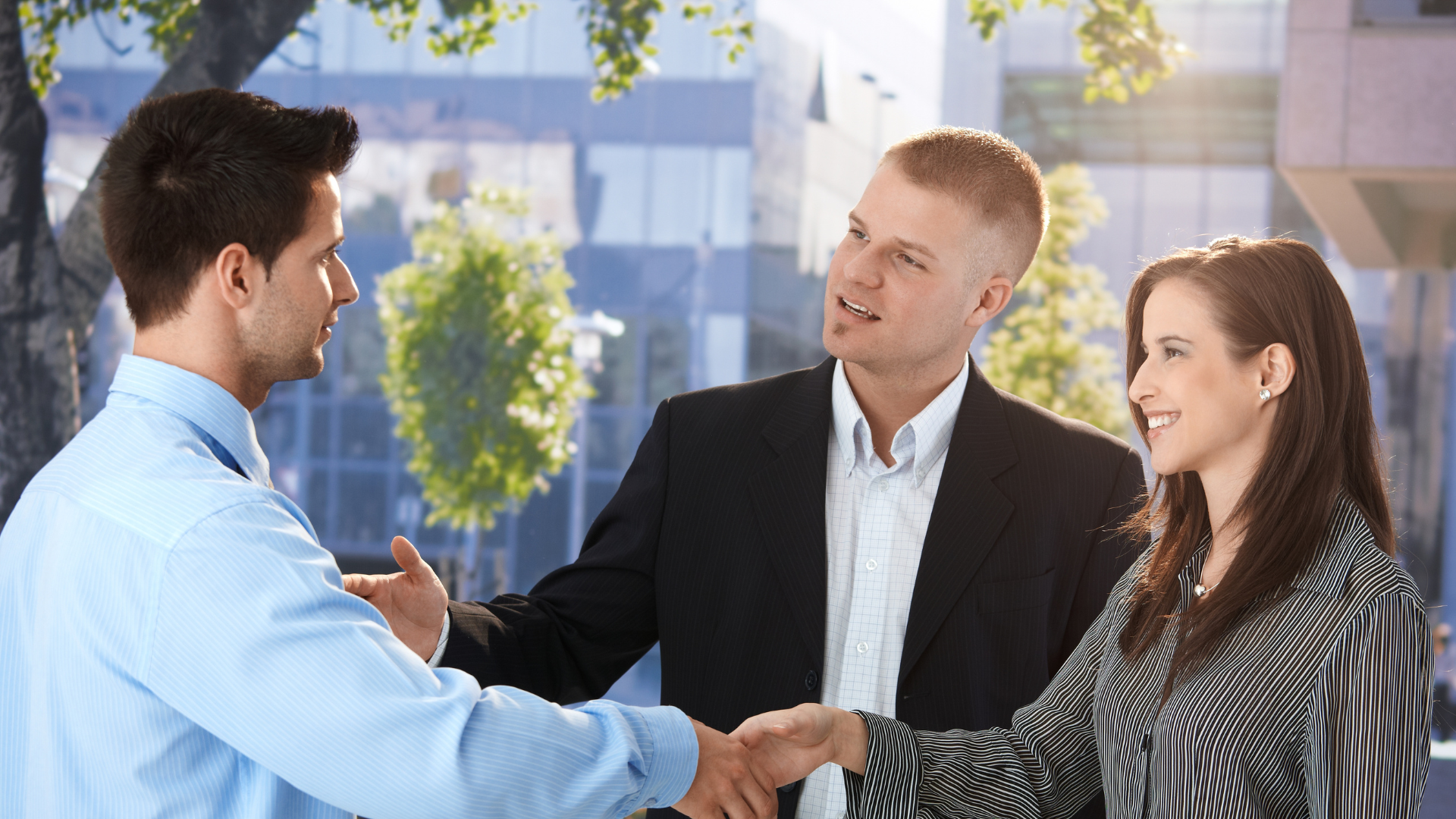 Outsiders, Cultural Misalignments, Healthy Leaders, Insiders, Blindness